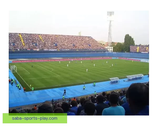 世界杯竞猜盘口深度分析与投注技巧探索